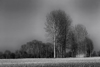 2014 03 17 - Near Cherval