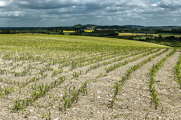 Countryside I - Vendoire