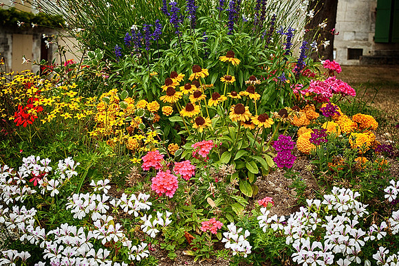 Street Flowers - Villebois-Lavalette