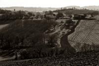 Farm Fields II  - Nanteuil