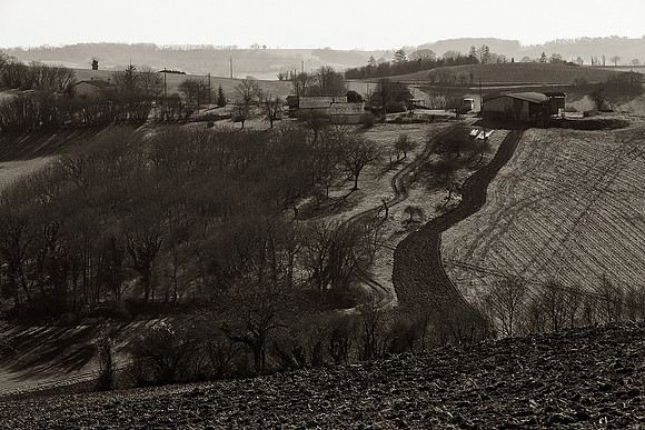 Farm Fields II  - Nanteuil