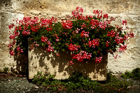 Flowers - St Just