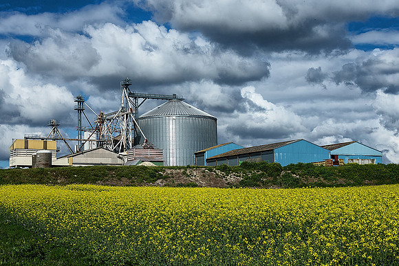 Silo - Gouts