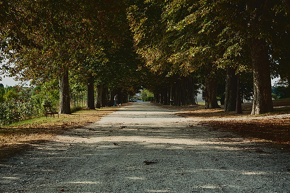Promenade - Montagrier