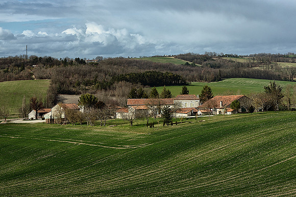 From Lusignac Road III - St Paul Lizonne