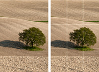 Guide to the Rule of Thirds - Step 6