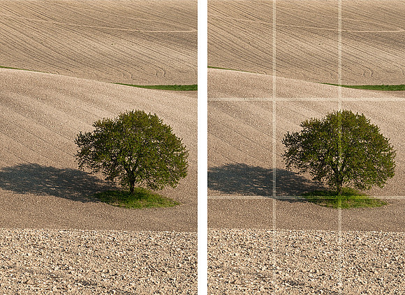 Guide to the Rule of Thirds - Step 6