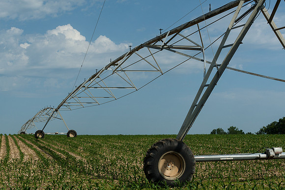Water Sprayer - 3