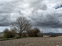 IMGP0336_2000px_No_Sharp