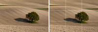 Guide to the Rule of Thirds - Step 1
