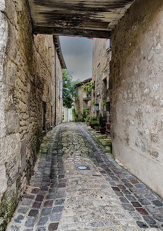 © Joyce Wenyon