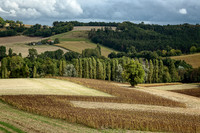 Part Harvested Cornfield - Vaux-Lavalette