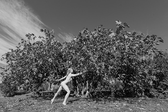 © Kate Hauxwell