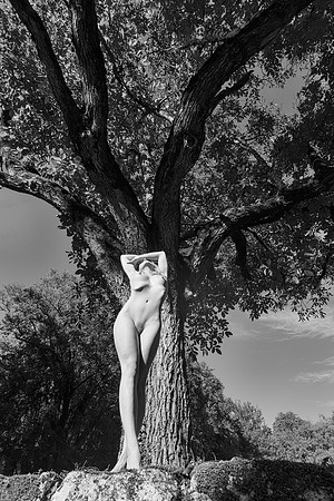 © Kate Hauxwell