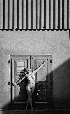 © Paul Davison