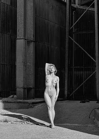 © Paul Davison