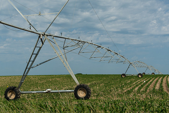 Water Sprayer - 1