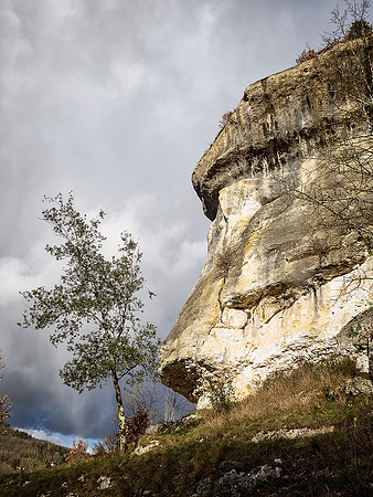 Font du Gaume 4 - Les Eyzies-de-Tayac-Sireuil
