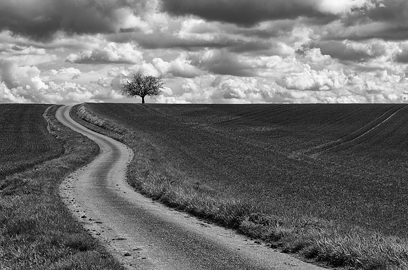 © Ian Wilson