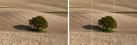 Guide to the Rule of Thirds - Step 2
