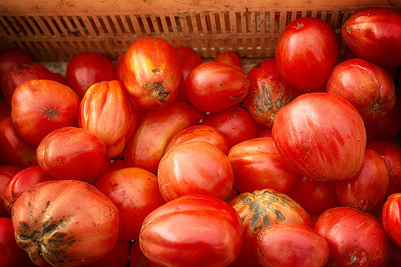 Tomatoes at the Market - Brantôme