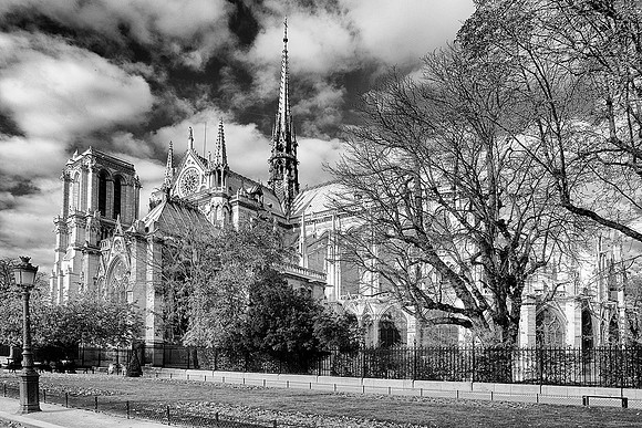 Notre Dame de Paris - 1