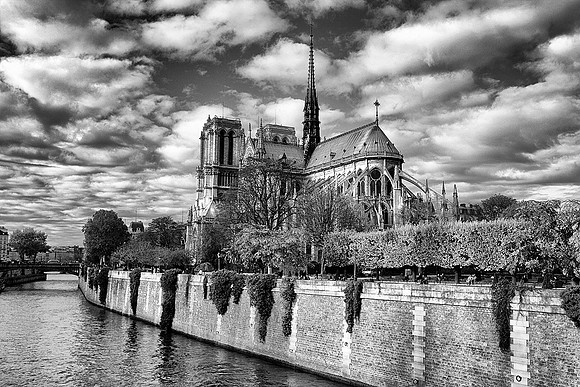 Notre Dame de Paris - 3