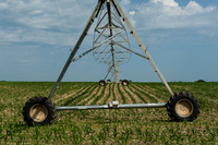 Water Sprayer - 2