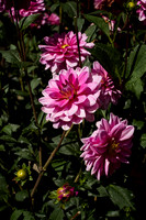 Potager at Abbey Fontvive V - Grosbot