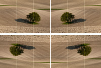 Guide to the Rule of Thirds - Step 3