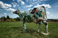 That Cow! - St Aulaye