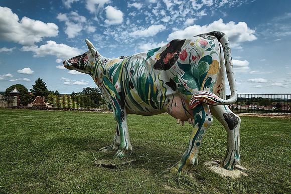 That Cow! - St Aulaye