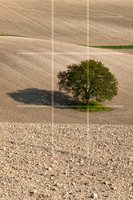 Guide to the Rule of Thirds - Step 5