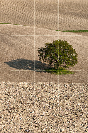 Guide to the Rule of Thirds - Step 5