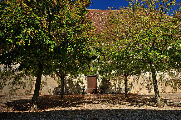 Manoir_Beausejour-11_1500_Sharp