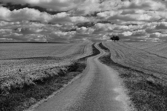 © Joyce Wenyon