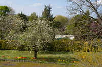 L1001843