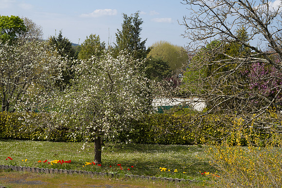 L1001843