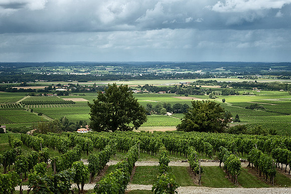 View North - Montbazillac