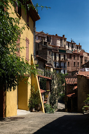Yellow House - Palada