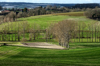 From Lusignac Road II - St Paul Lizonne