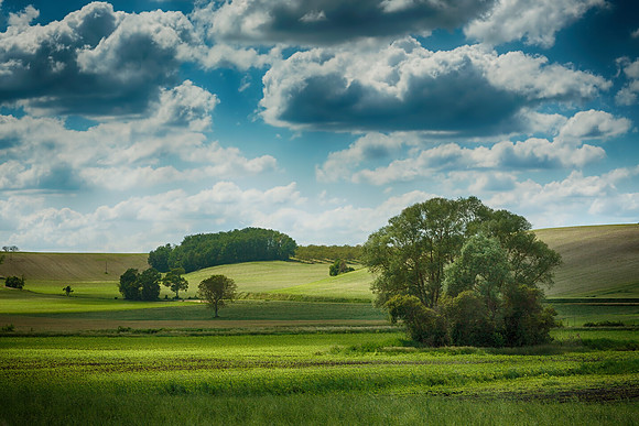 Countryside - Salle-Lavalette