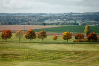 Lollipop Trees - Villebois-Lavalette