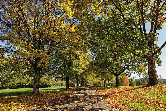 Autumn Colours - Montignac