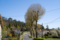 L1001811