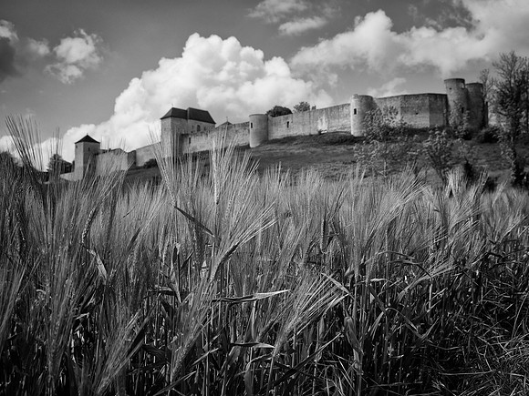 © Jo French