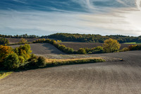 Autumn Field - Ronsenac