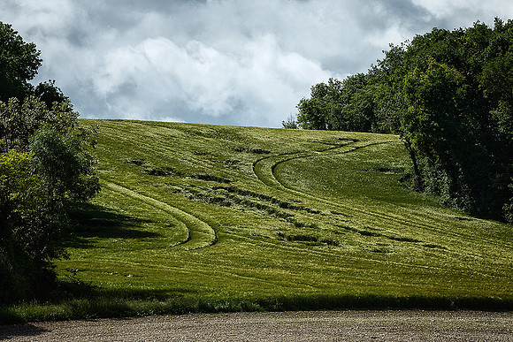 Barley Field - Lusignac