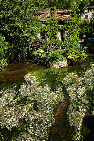 La Dronne I - Bourdeilles