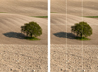 Guide to the Rule of Thirds - Step 4